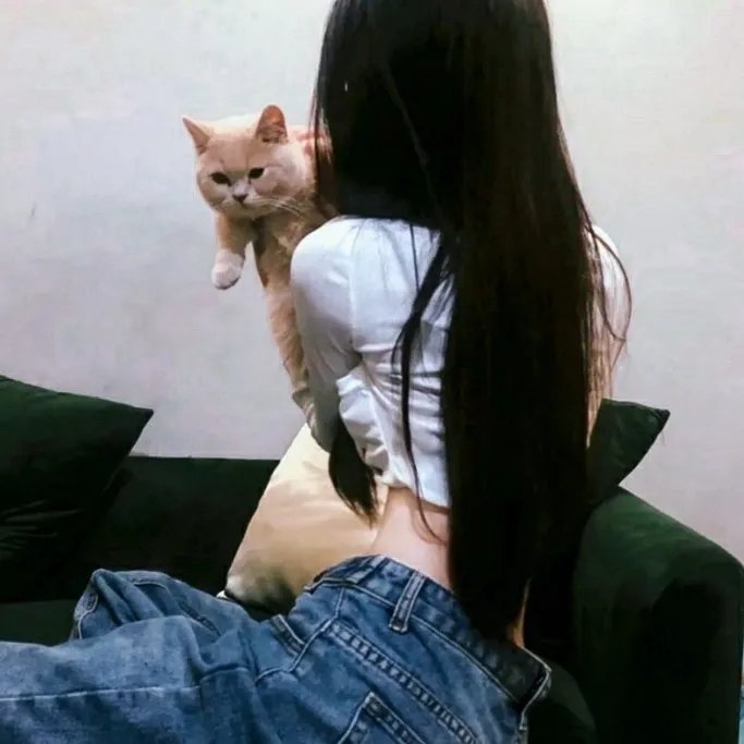 主竞赛